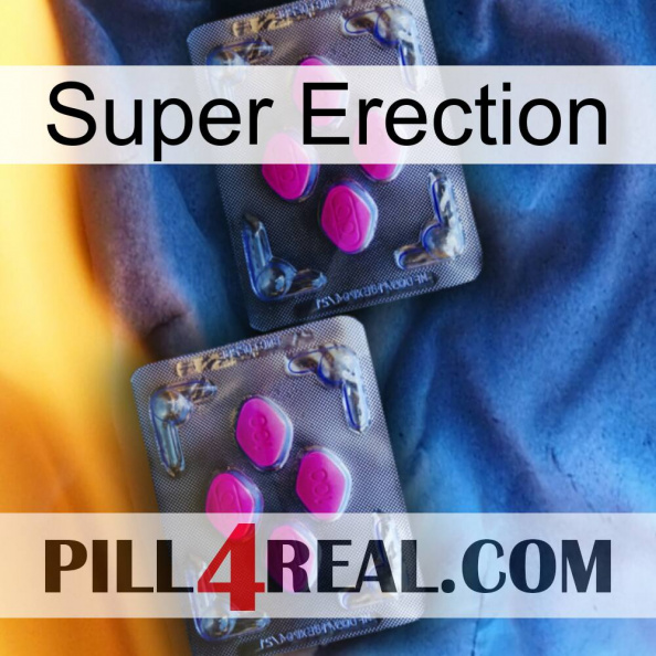 Super Erection 01.jpg